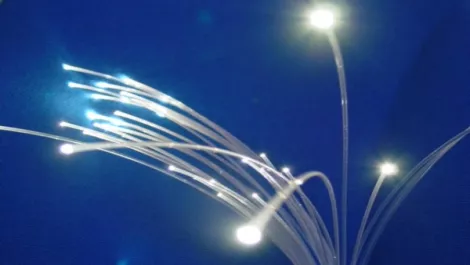 Fibre Watch: The $600m holiday
