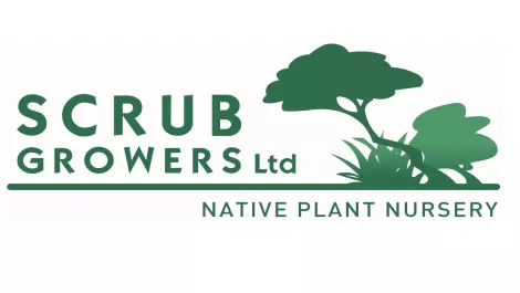 Microsoft Office 365 delivers for on-the-move environmental services company