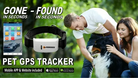 Hands-on Review: Mongoose PT800 GPS dog tracking collars