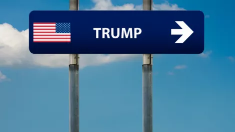 From Microsoft to Xero to Trump, oh my